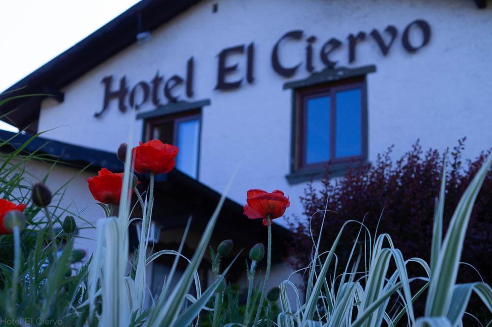 Hotel El Ciervo Villarrica Exterior foto