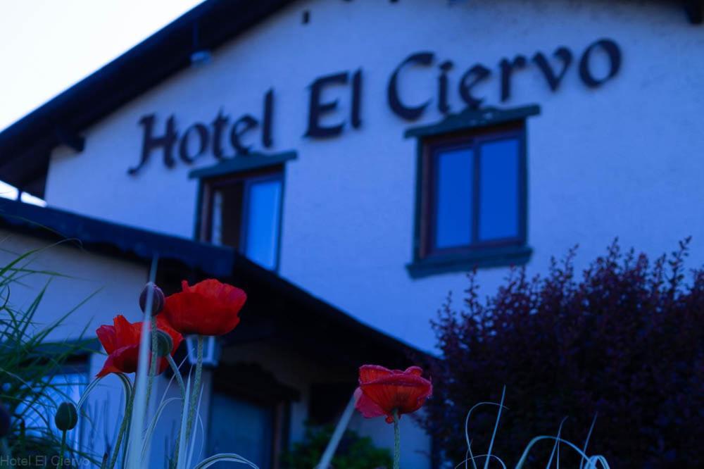 Hotel El Ciervo Villarrica Exterior foto